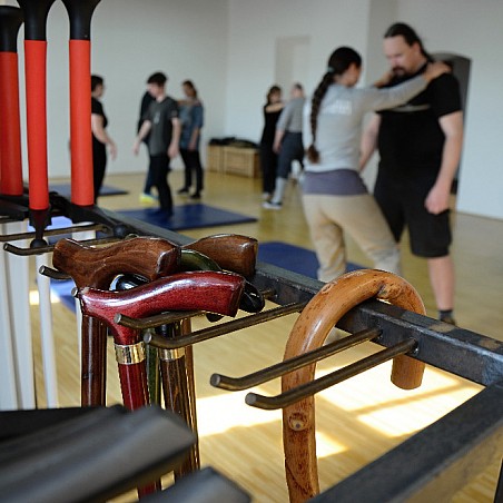 Bartitsu aneb využijte své vycházkové hole naplno