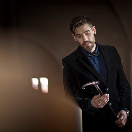 Špilberk a vycházkové hole jsou sexy