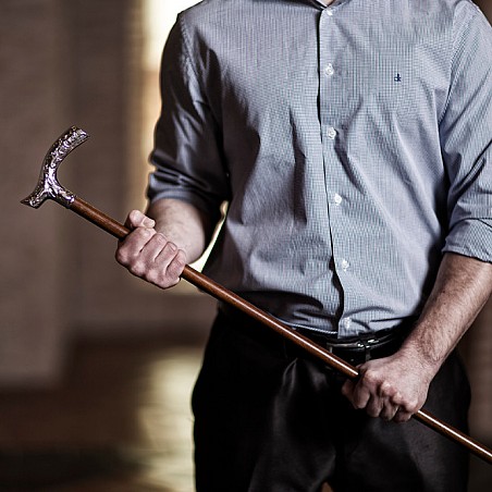 Špilberk a vycházkové hole jsou sexy